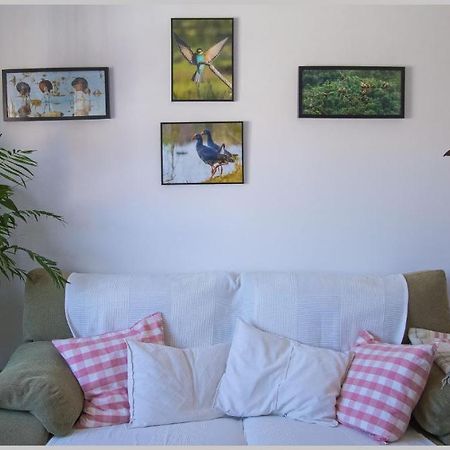 Casa De Los Pajaros Sevilla Dış mekan fotoğraf